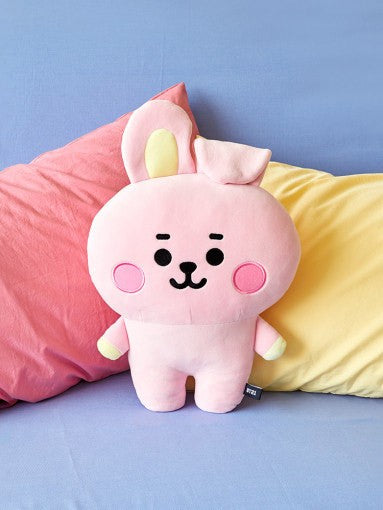 [BT21] BTS Line Friends Collaboration - Basic Hug Me Cushion - kpoptown.ca